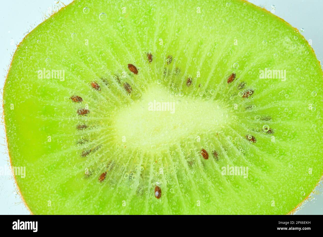 Closeup of kiwi fruit in liquid with bubbles. Slice of green ripe kiwi