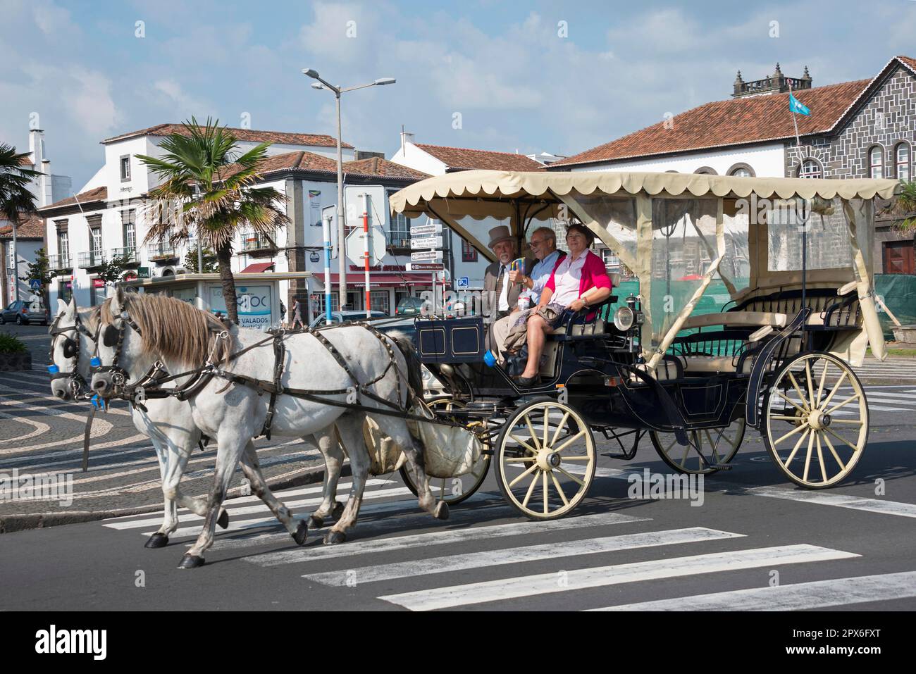 Carriage, Ponta Delgada, Sao Miguel, Azores, Portugal, horse-drawn carriage, carriage ride Stock Photo