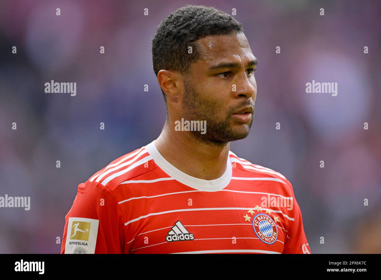 Serge Gnabry FC Bayern Muenchen FCB (07) Portrait, Allianz Arena, Munich, Bavaria, Germany Stock Photo