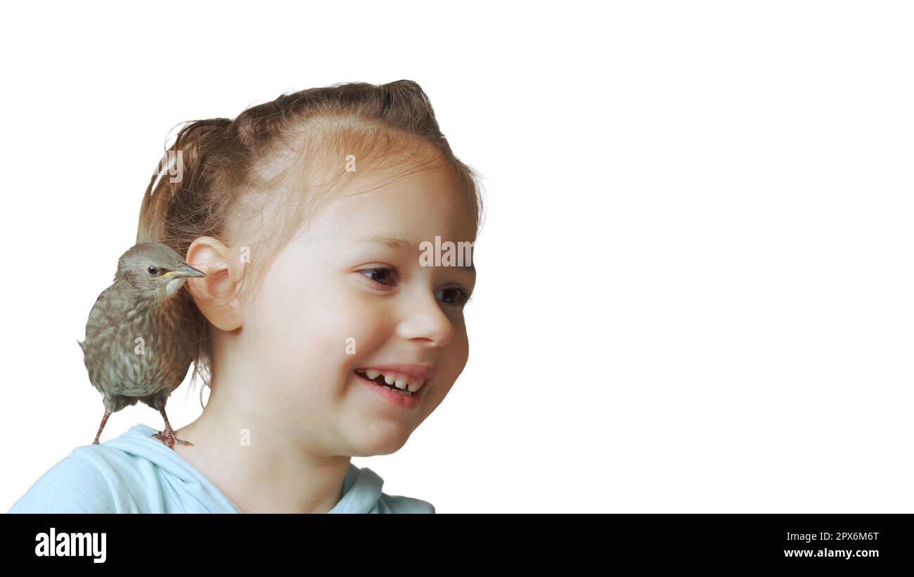 Grown up starling nestling sitting on shoulder of smiling little girl