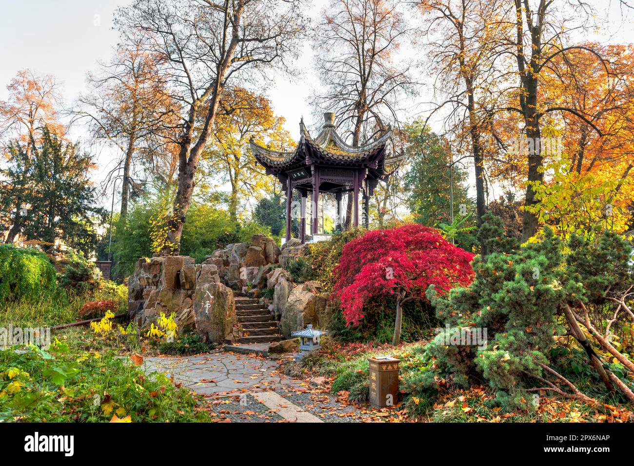 The chinese garden with ornamental temple and autumn colored plants in
