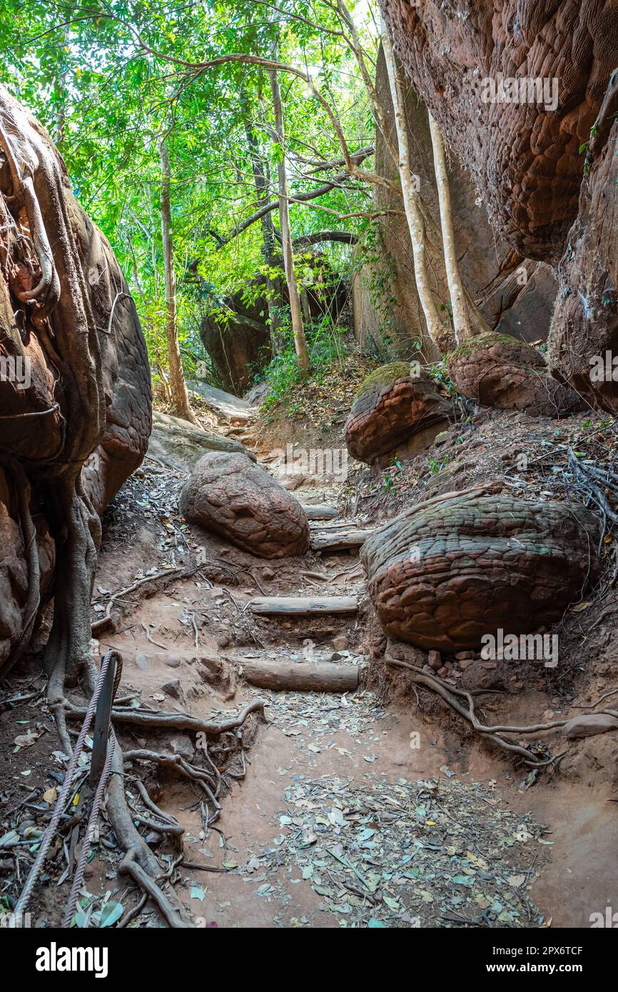 Naka cave giant snake scale stone. in the Phu Langka national park