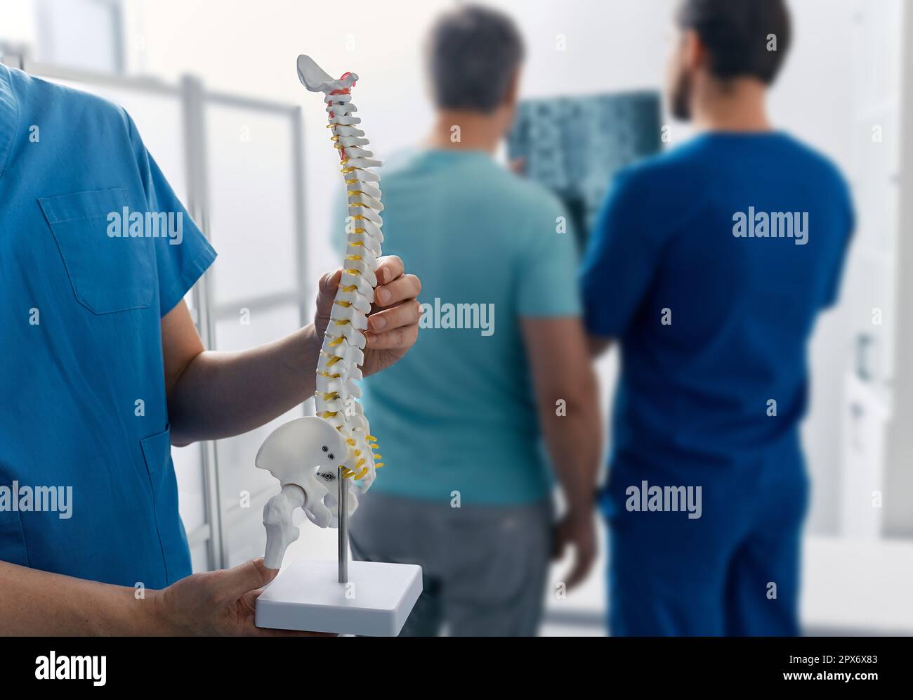 Complex examination and treatment of back pain with examination and MRI