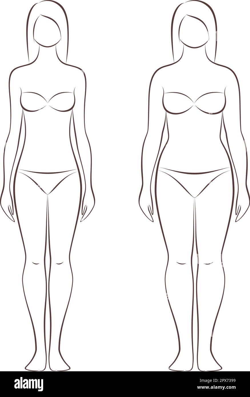 Vetor de Forms of female body type. Various figures of women. Vector. do  Stock