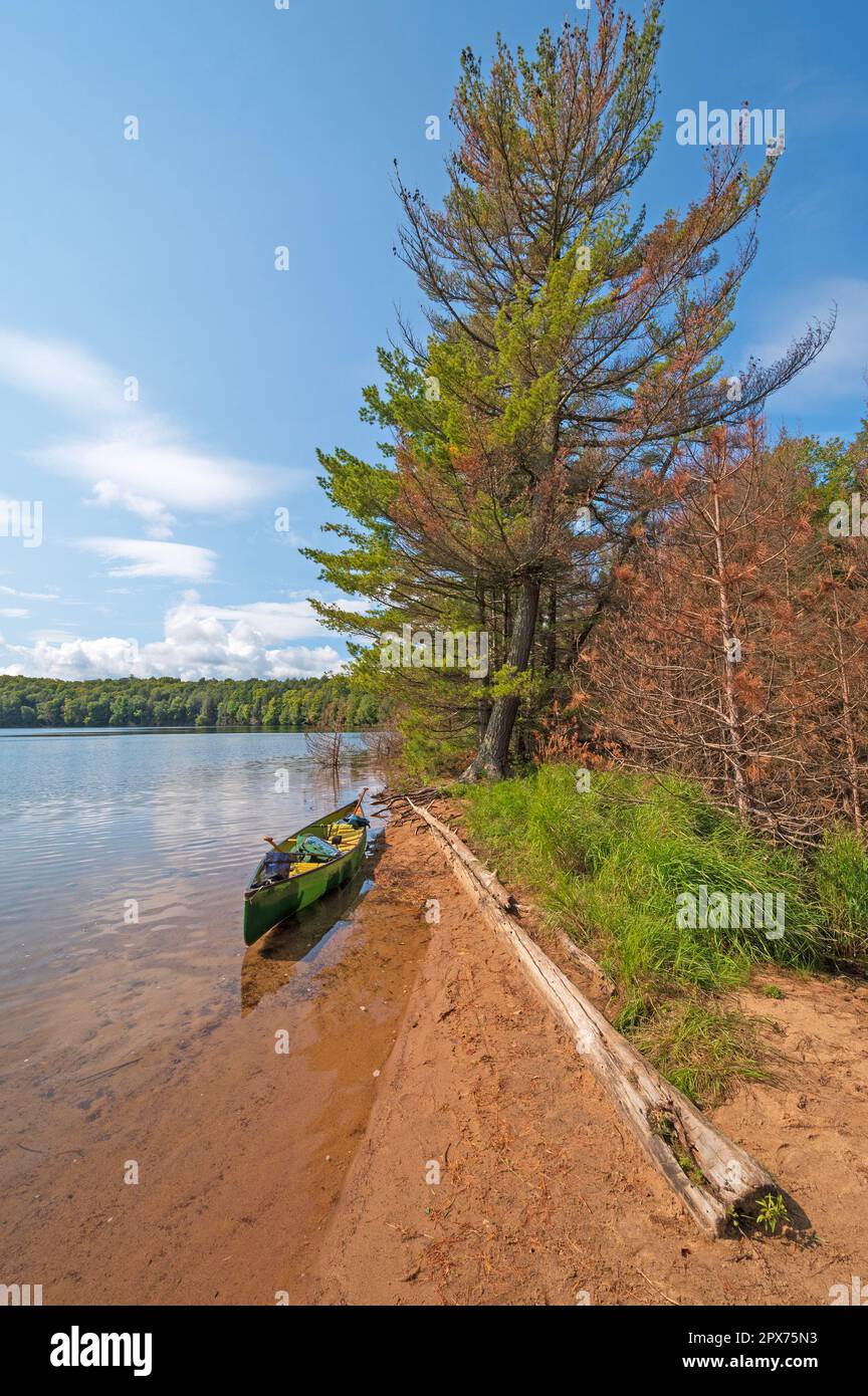 Canoe Floating on a Clear Lake and a Calm Shore in teh Sylvania