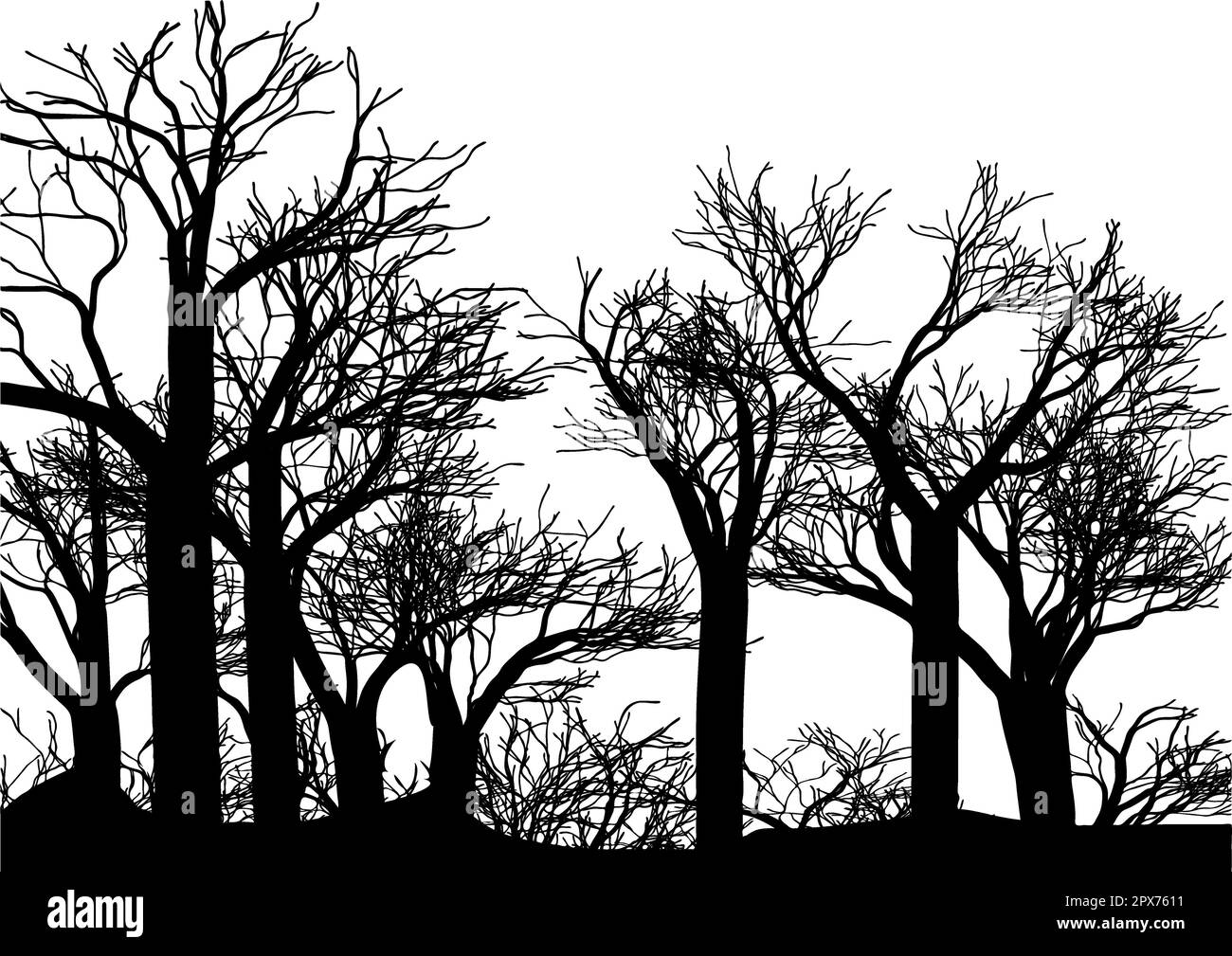 forest vector illustration isolated on white background Stock Photo - Alamy