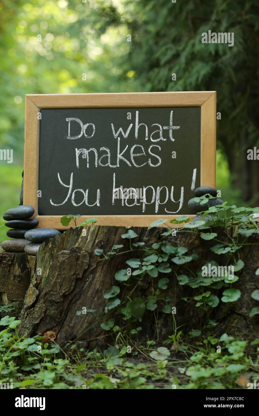 Chalkboard with phrase Do What Makes You Happy on stump outdoors Stock Photo