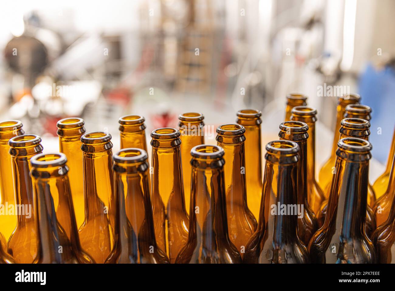 Rows of glass bottles prepared to beer filling and bottling on microbrewery. Stock Photo