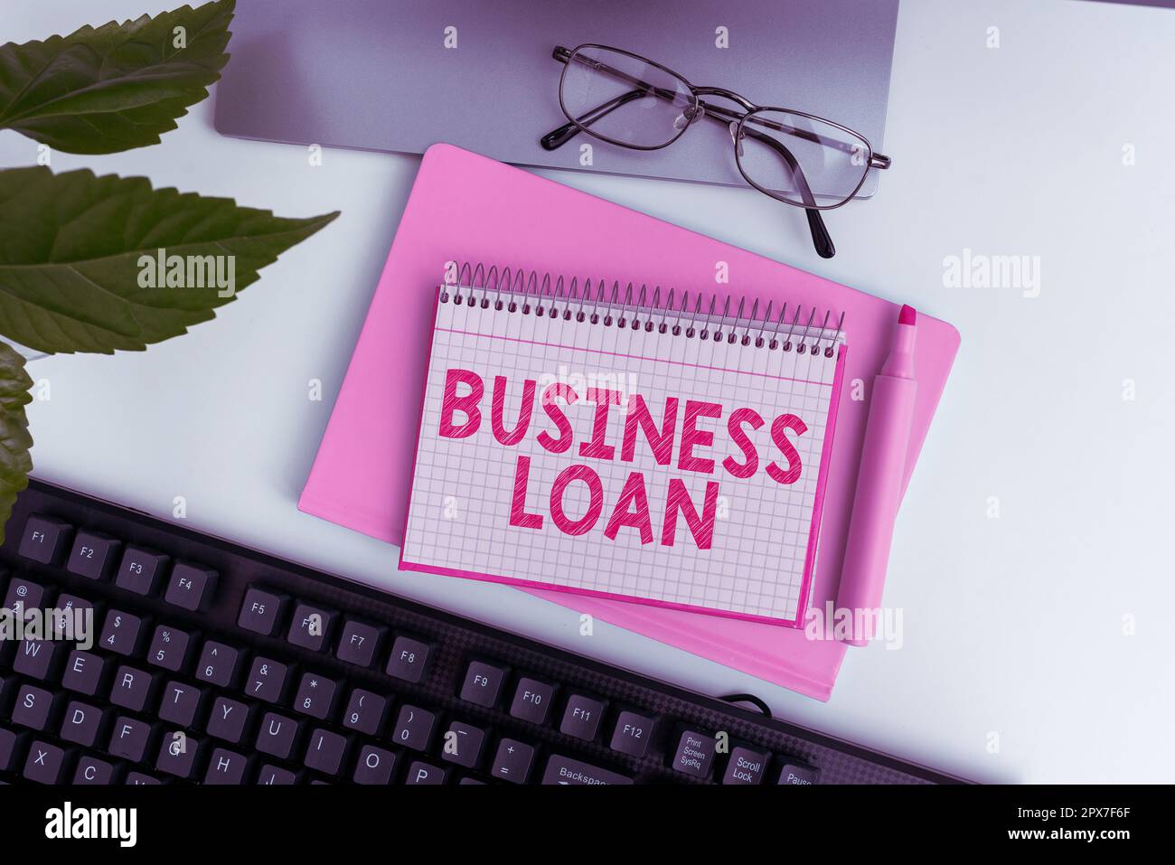 Text showing inspiration Business Loan, Business overview Credit Mortgage Financial Assistance Cash Advances Debt Stock Photo