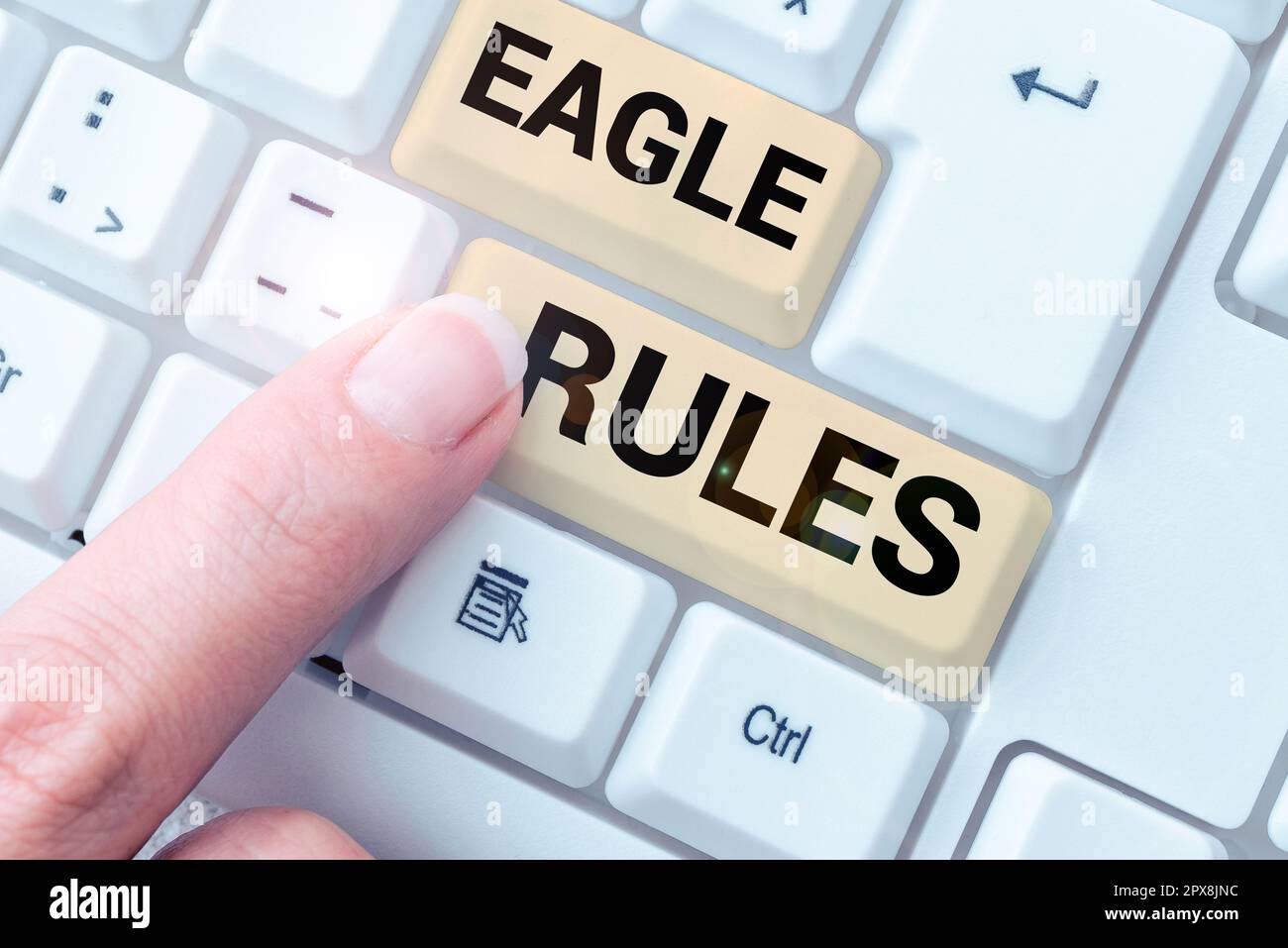 Sign displaying Eagle Rules, Concept meaning a huge set of design rules