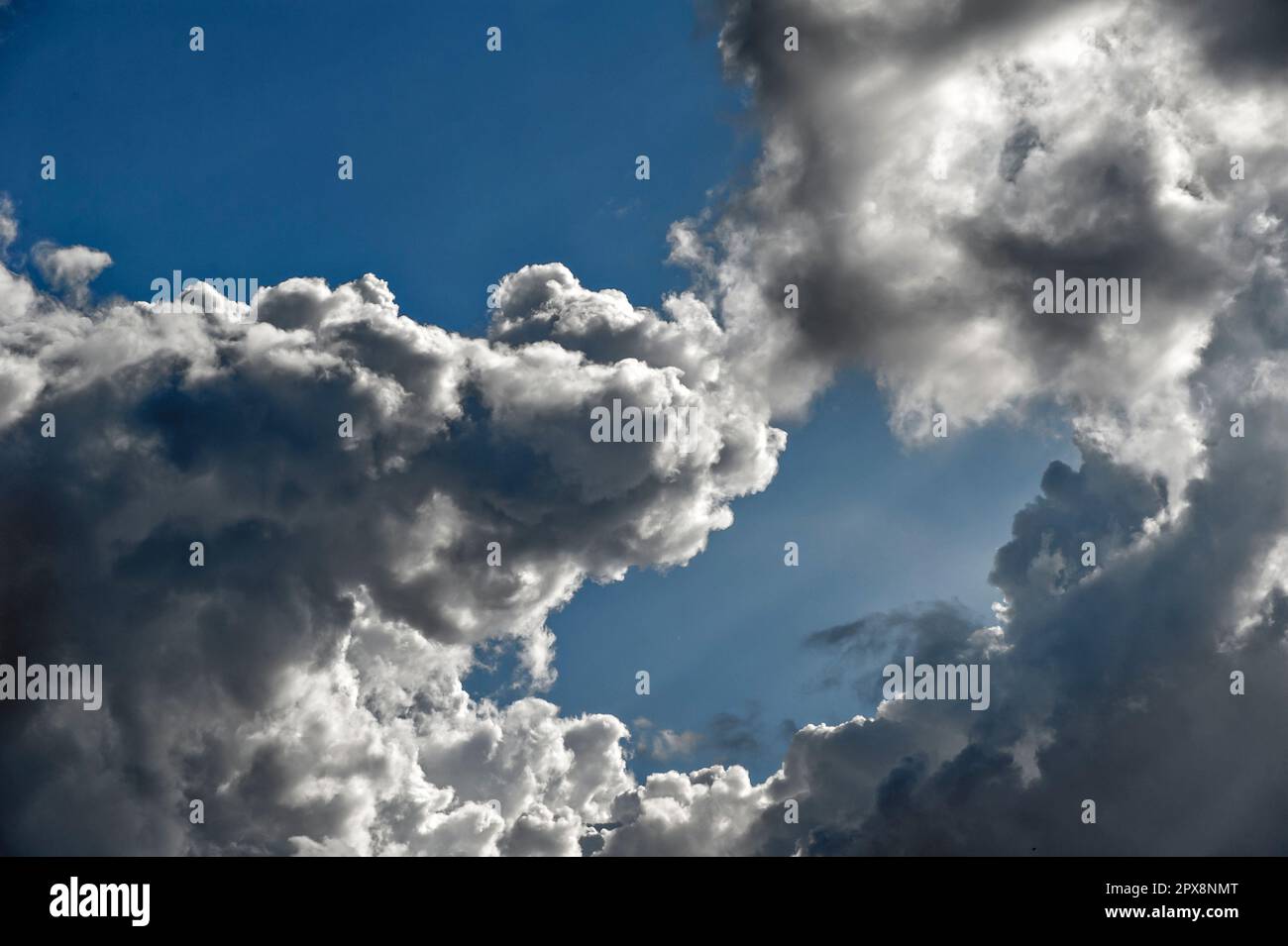 Rising ruffled cumulus clouds in blue sky in beautiful summer weather Stock Photo