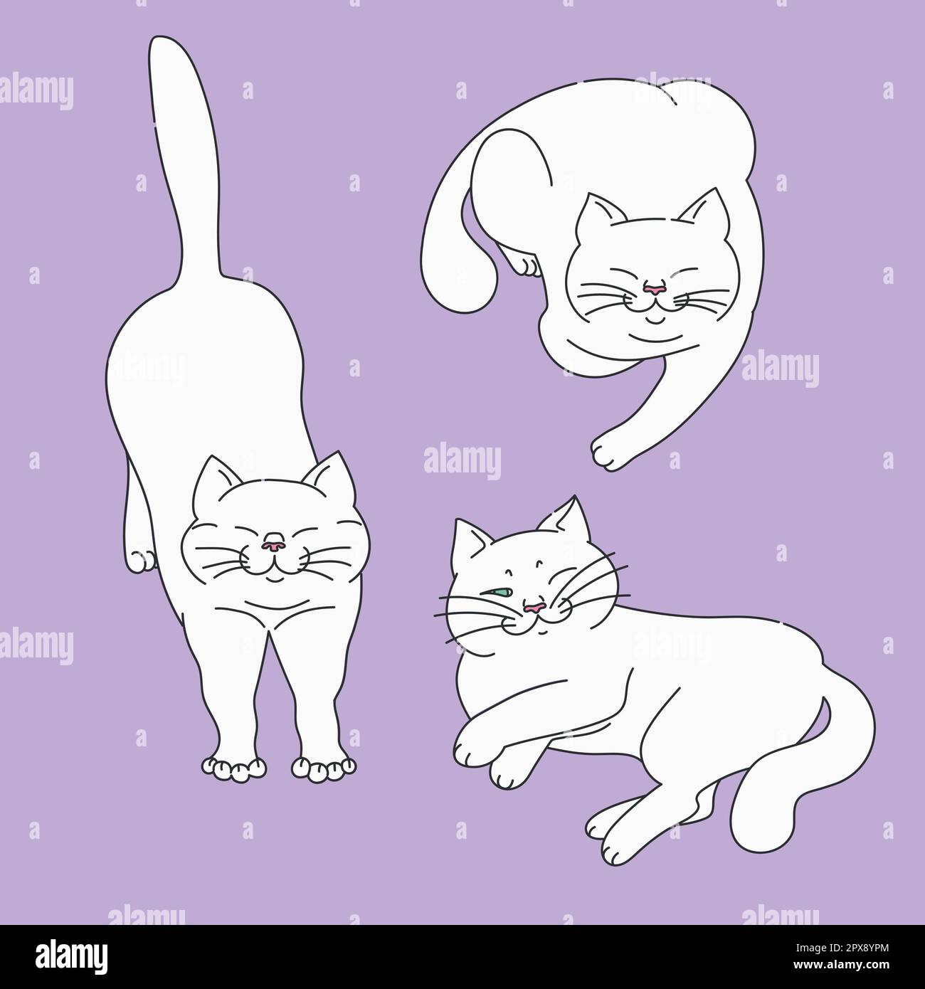 Cute white cats in different poses on purple background. Set of cat