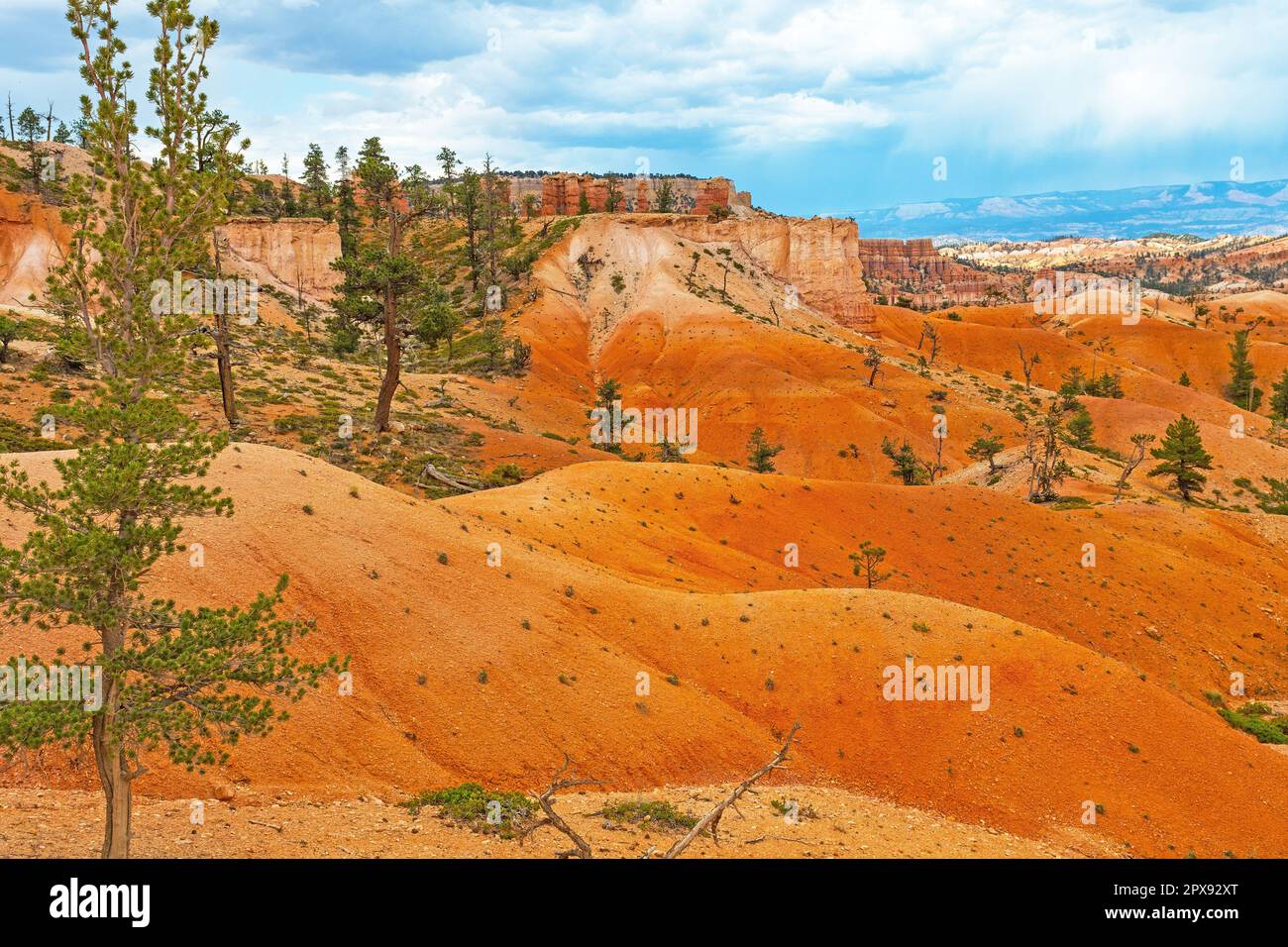 Dunes of Eroded Siltstone in Bryce Canyon National Park in Utah Stock ...