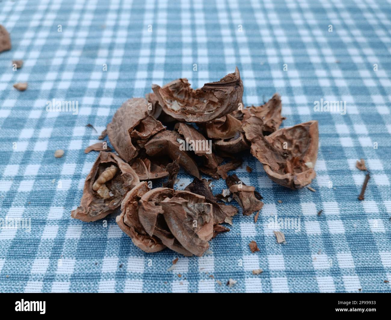 Nutshells on the desk. Cracked nutshell. Stock Photo