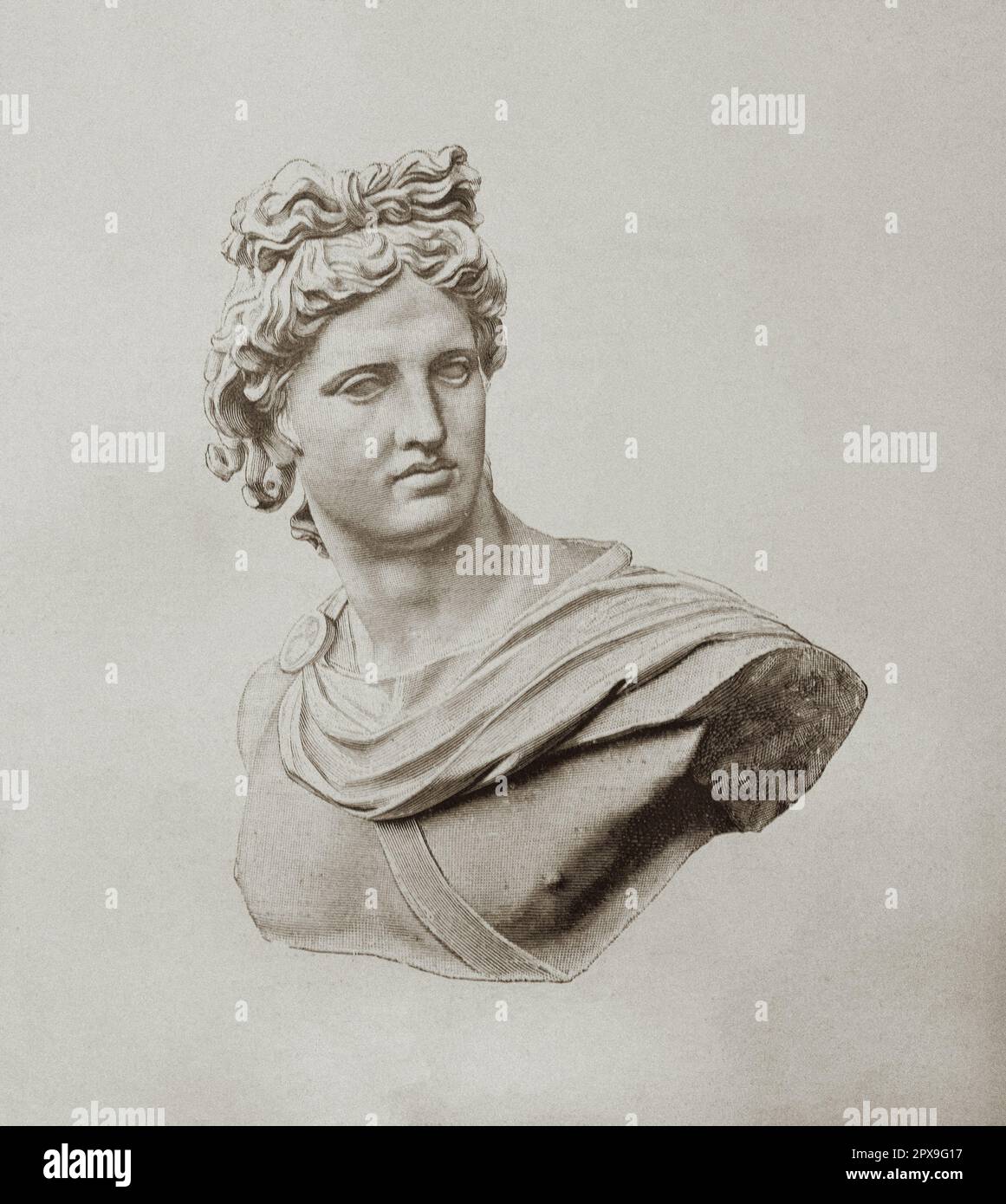 Vintage illustration of Apollo Belvedere's head. The Apollo Belvedere