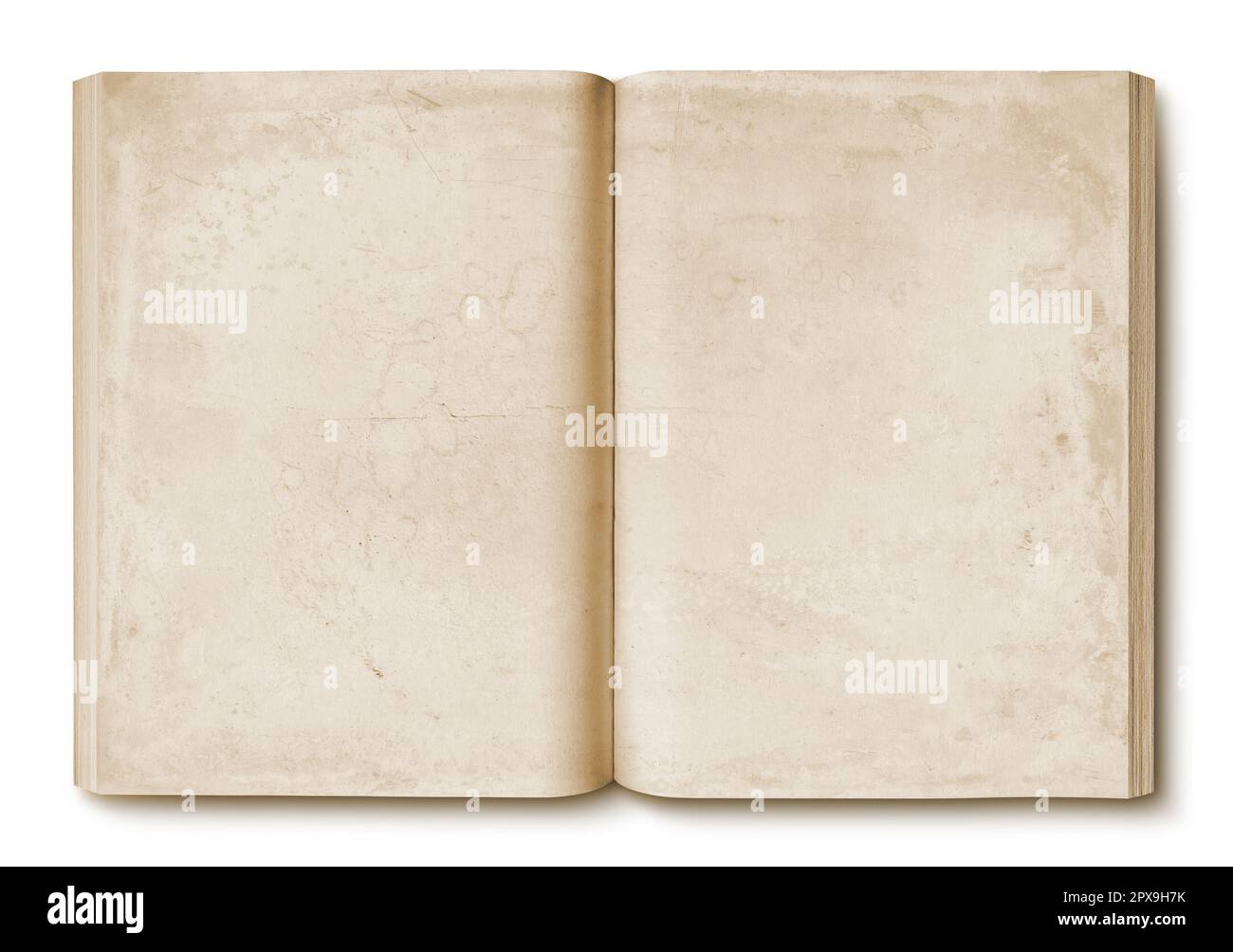 Open pages of album photobook couple in love on wooden backgroun