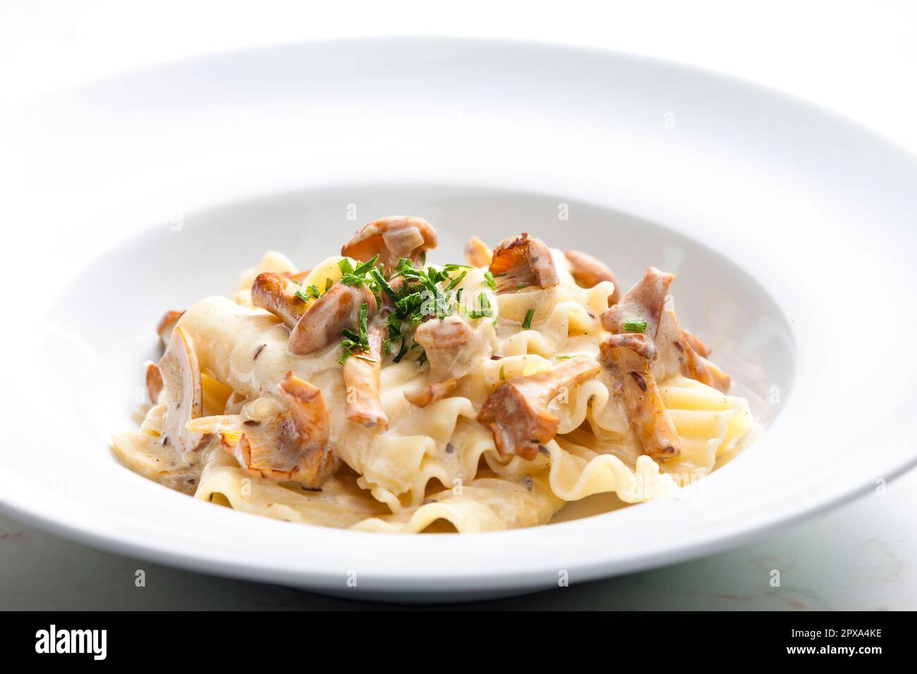 cream sauce with chanterelles served with pasta Stock Photo Alamy