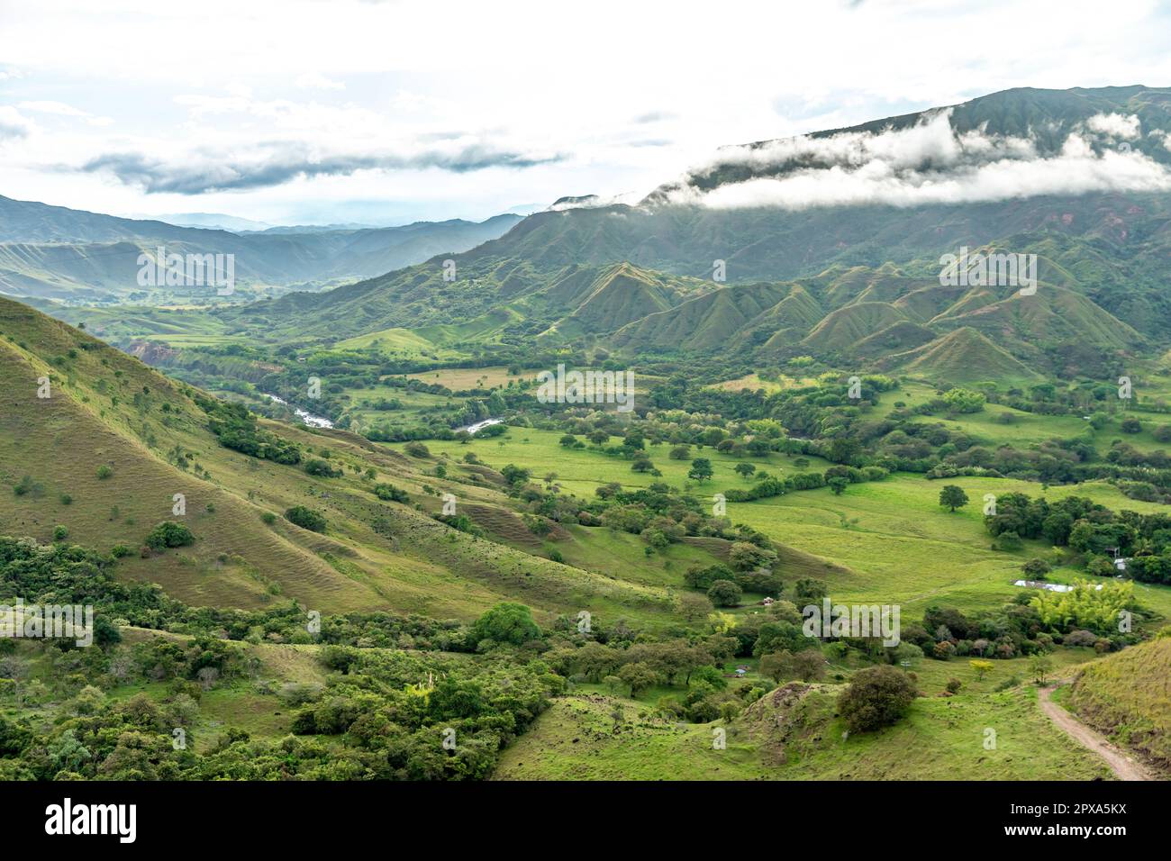 nature in the mountain landscape of Colombia. High quality photo Stock ...