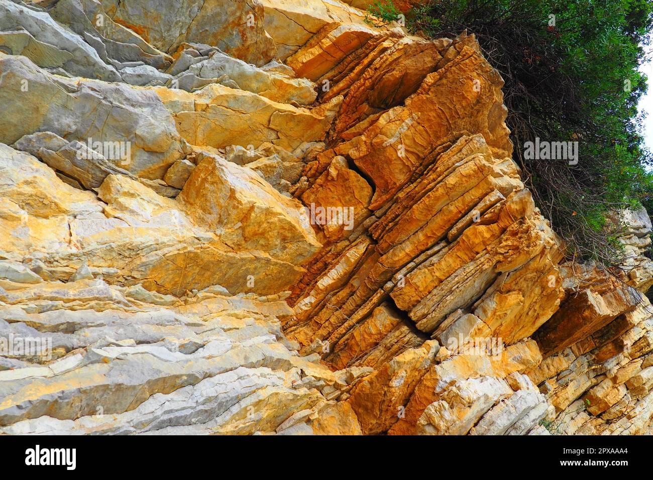 Flysch is a series of marine sedimentary rocks that are predominantly clastic in origin and are characterized by the alternation of several lithologic Stock Photo