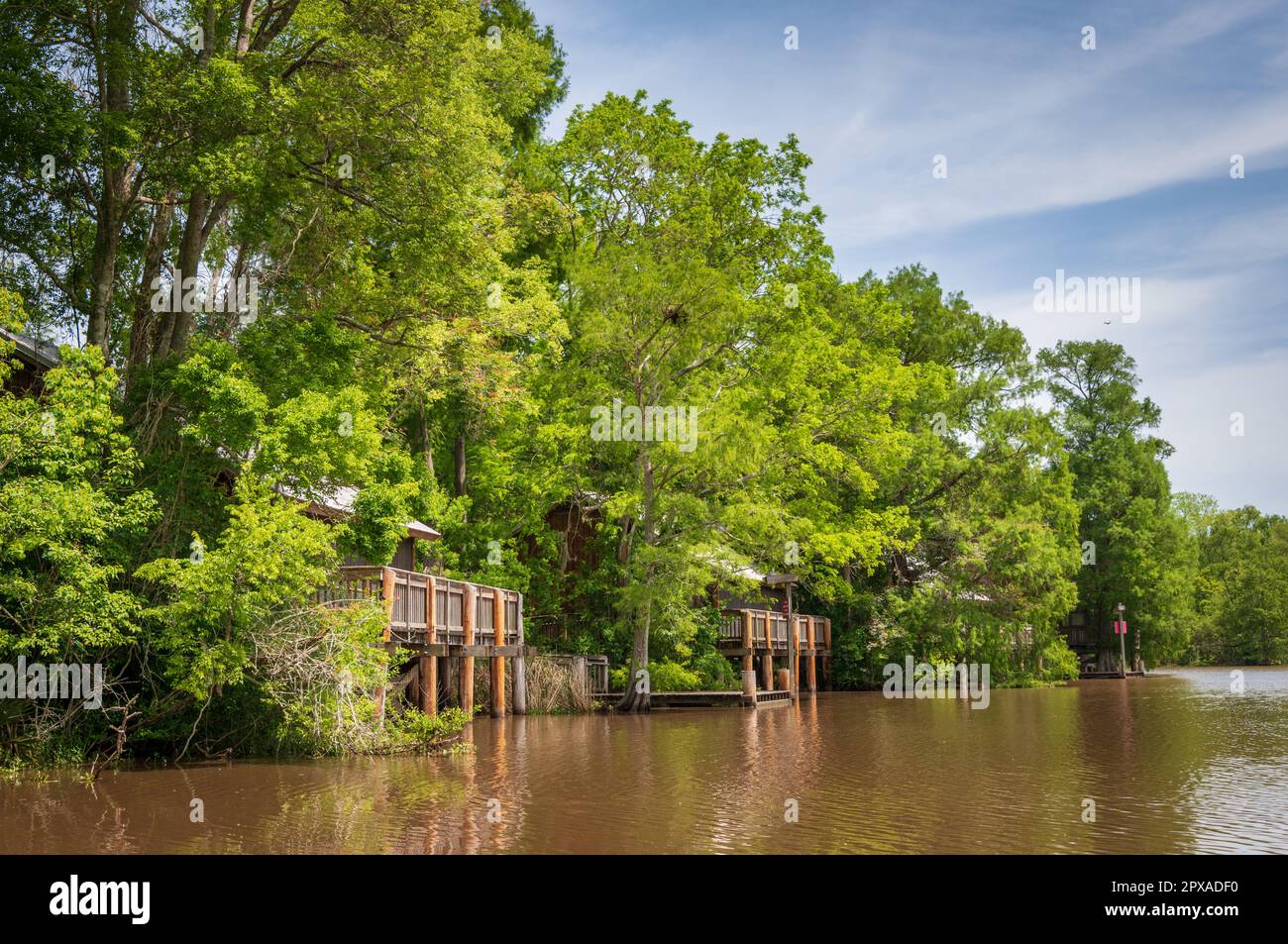 Lake Fausse Pointe State Park in Louisiana Stock Photo Alamy