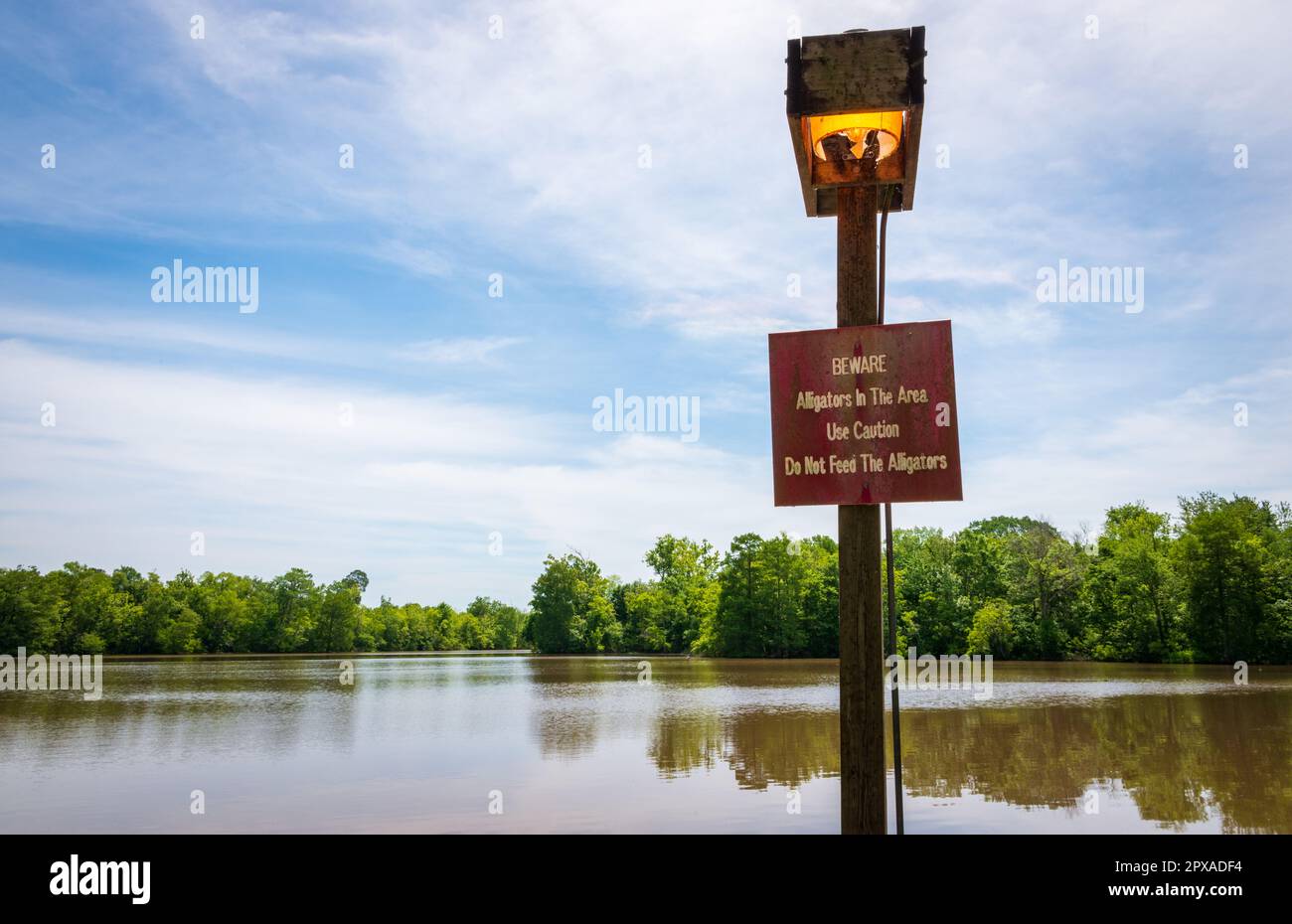 Lake Fausse Pointe State Park in Louisiana Stock Photo Alamy