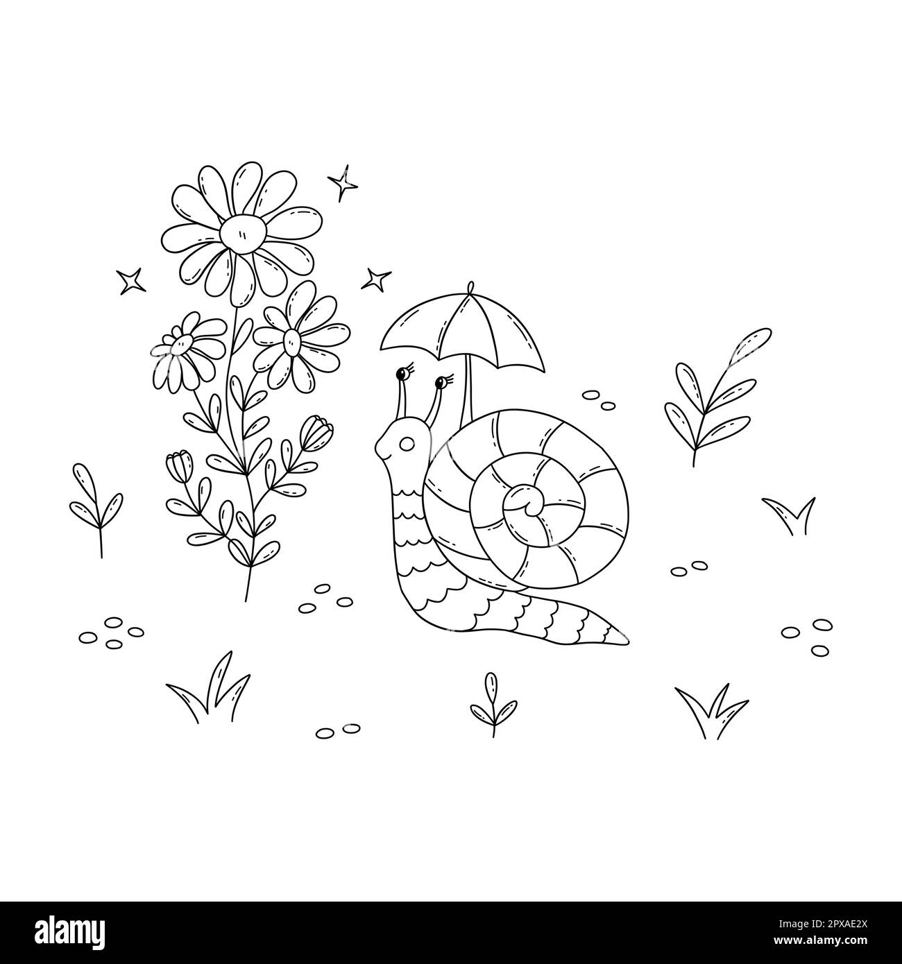 Snail in field next to sprig of chamomile. Clam with striped shell and umbrella over head. Black and white vector isolated illustration hand drawn. Sp Stock Vector