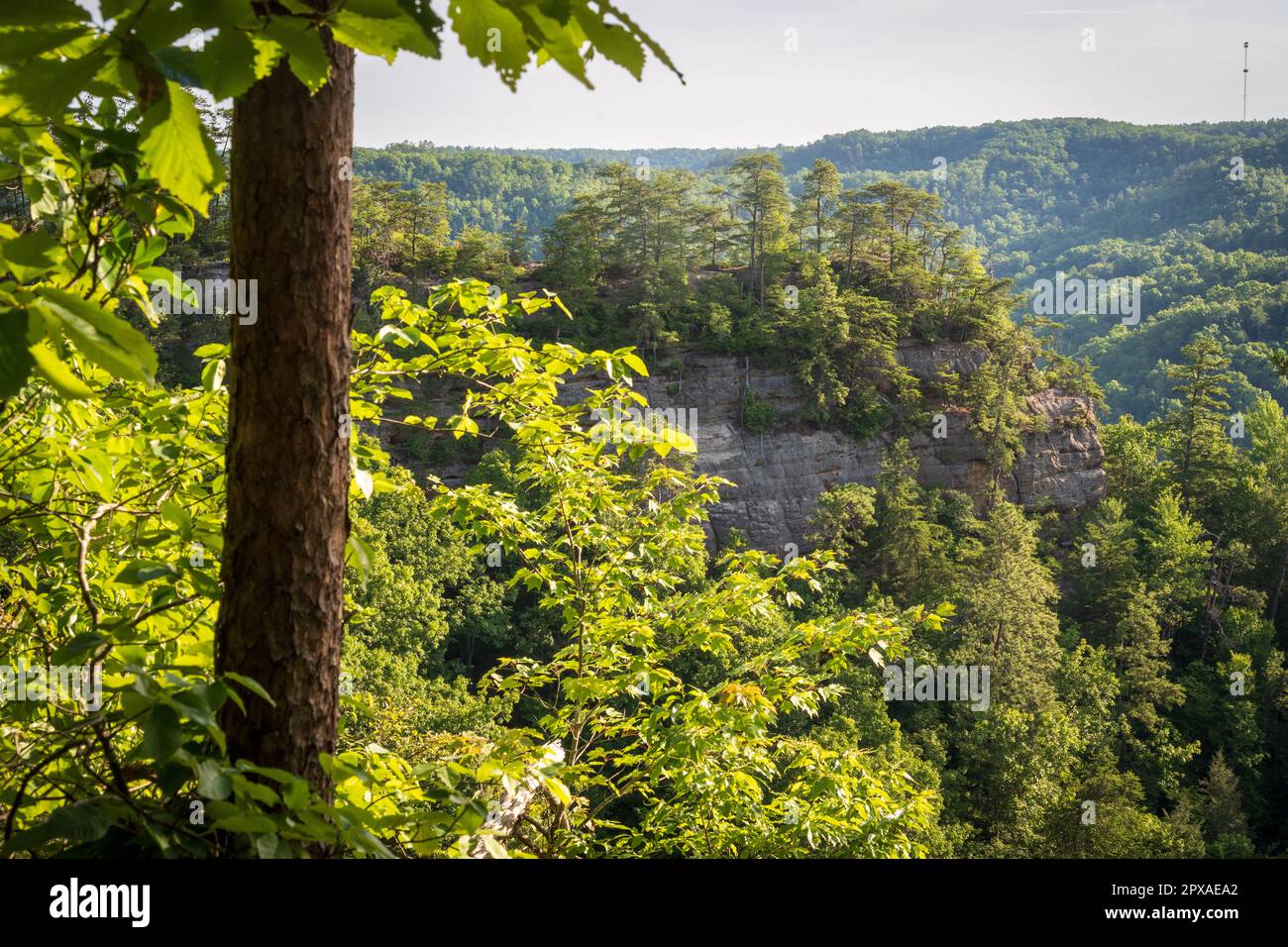 Natural Bridge State Resort Park in Kentucky Stock Photo Alamy