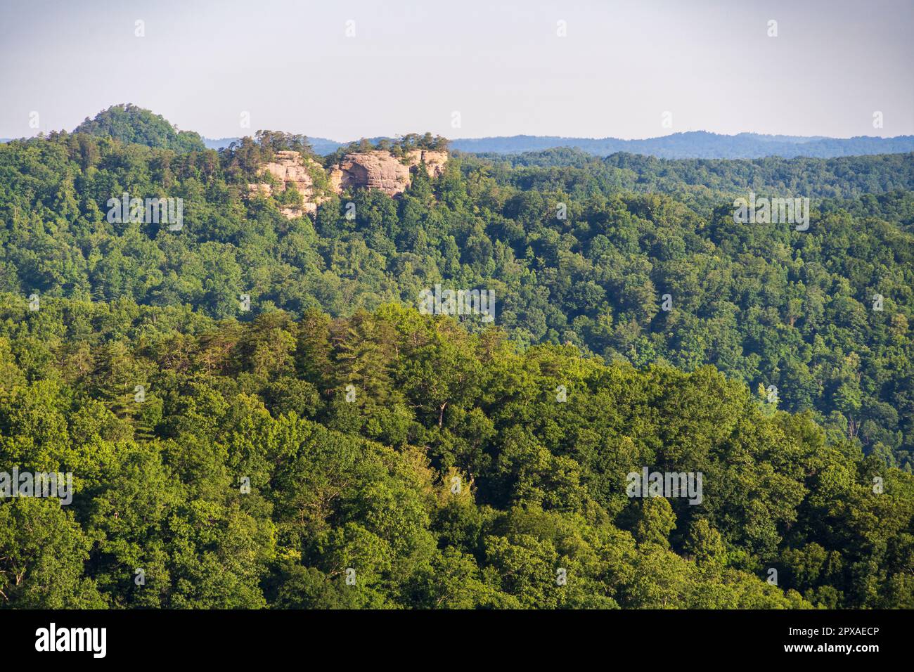 Natural Bridge State Resort Park in Kentucky Stock Photo - Alamy