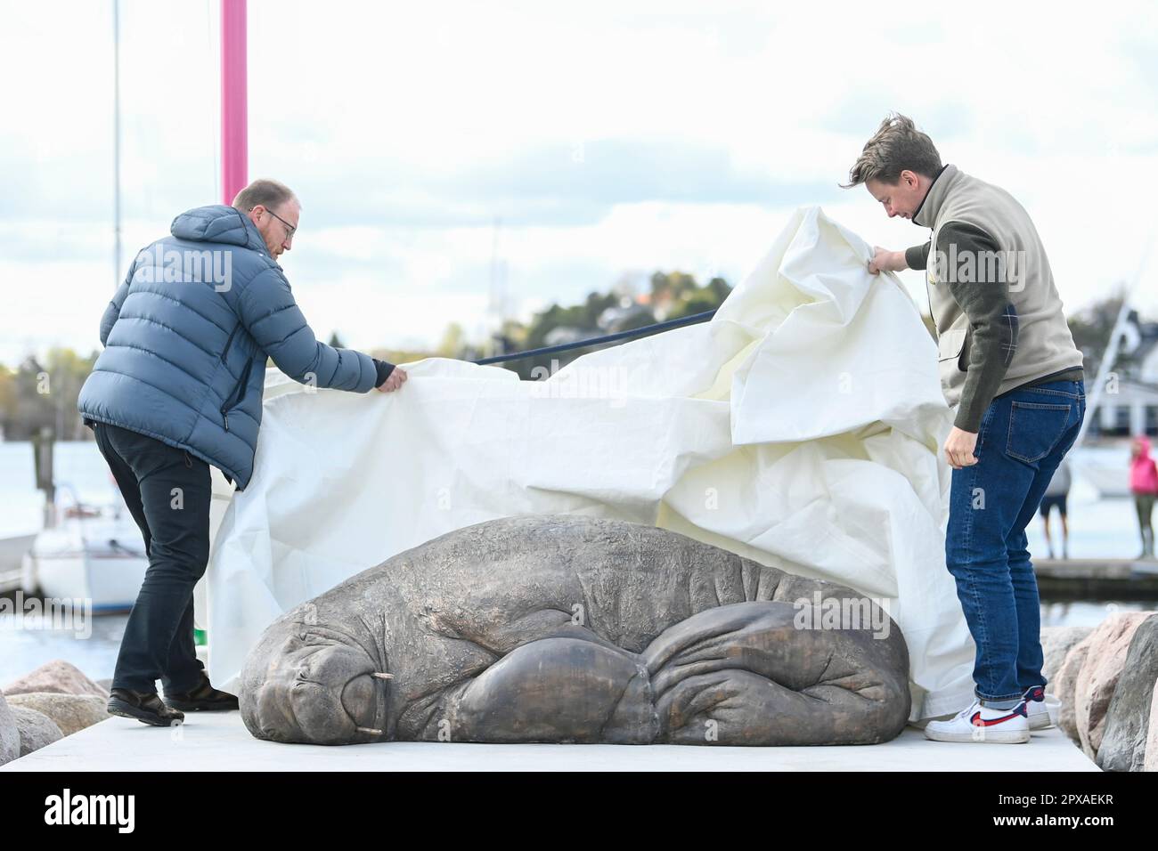 Oslo 20230429.Walrus expert Rune Aae left. and initiator Erik Holm is present during the unveiling of the sculpture which stands in Kongen Marina by Frognerkilen. Freya was euthanized by the Directorate of Fisheries in August 2022. The reason was that the public did not follow the recommendations from the authorities to keep their distance from the 600-kilogram animal. Photo: Annika Byrde / NTB Stock Photo