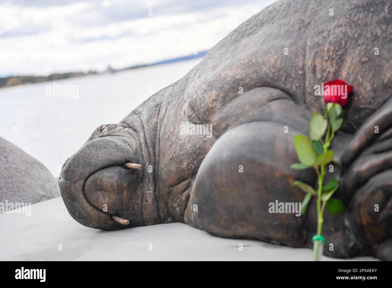 Oslo 20230429.The artist Astri Tonoian has created a sculpture in memory of Freya the walrus. On Saturday, there is an unveiling of the sculpture that stands in Kongen Marina by Frognerkilen. Freya was euthanized by the Directorate of Fisheries in August 2022. The reason was that the public did not follow the recommendations from the authorities to keep their distance from the 600-kilogram animal. Photo: Annika Byrde / NTB Stock Photo