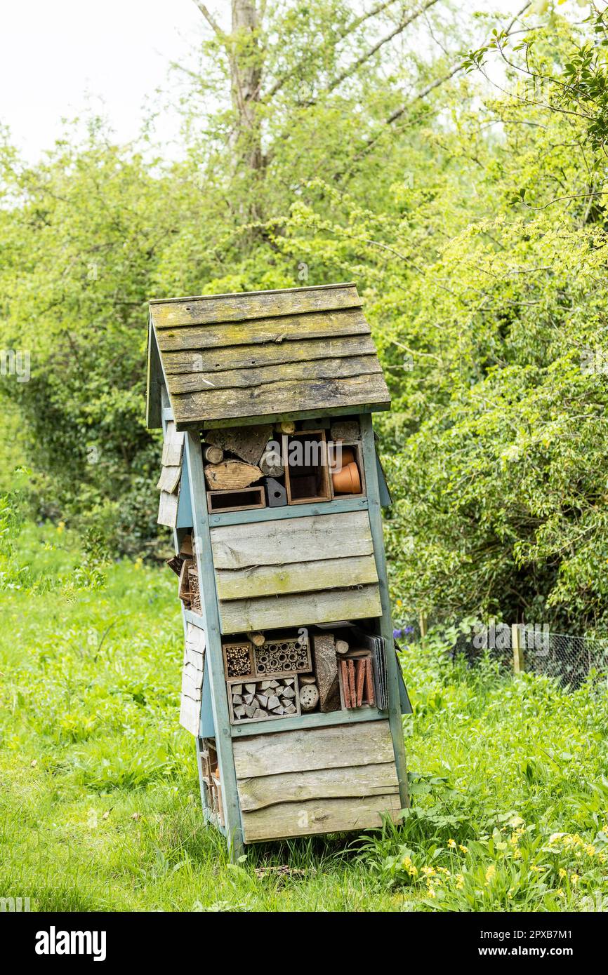 Wooden insect hotel, shelter for wild insects in forest reserve Stock ...