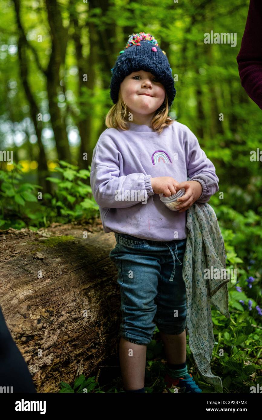 Little girl in the bluebell forest Stock Photo