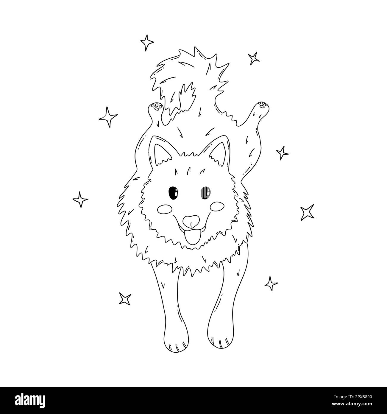 Playful dog lies and looking cute, tongue out. Laika dog, friend animal