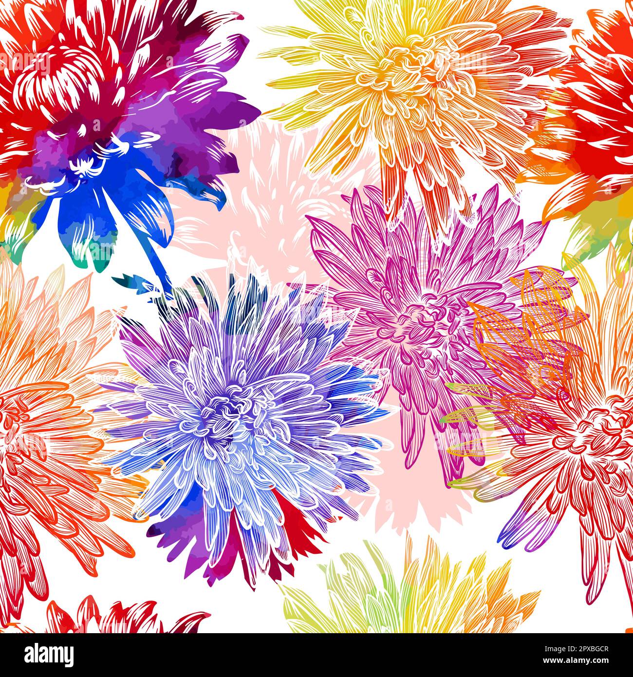 Seamless pattern of colored chrysanthemums. Vector illustration Stock Vector