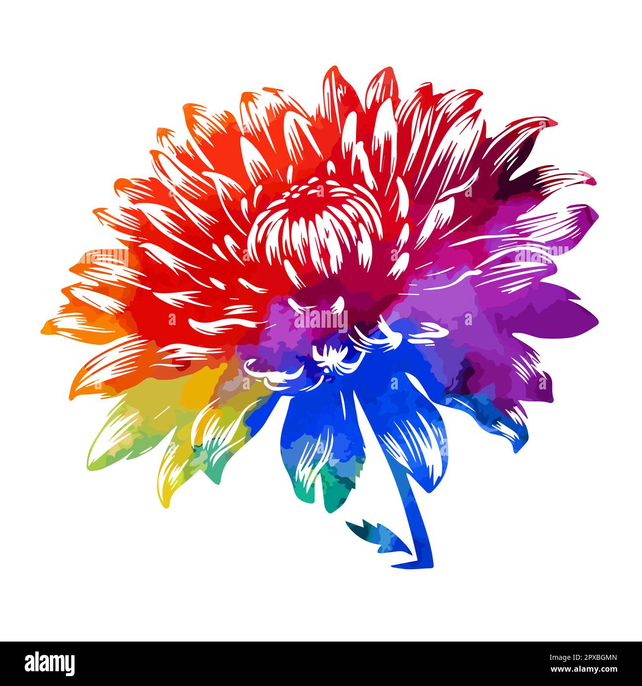 Object colored chrysanthemum. Vector illustration Stock Vector Image & Art Alamy
