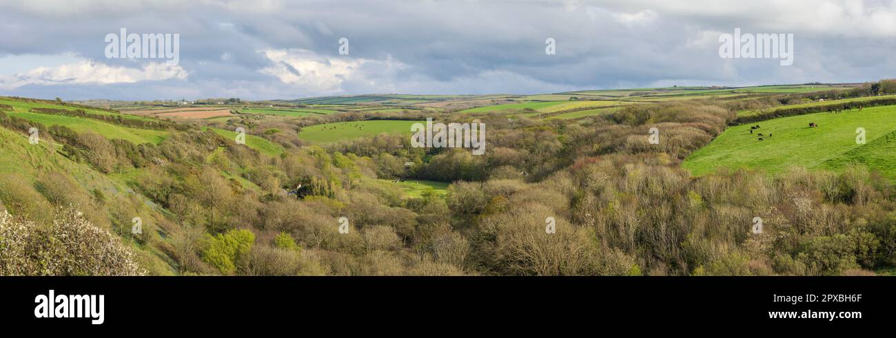 panoramic daylight view of rural Devon looking towards Docton mill and Lymebridge Stock Photo
