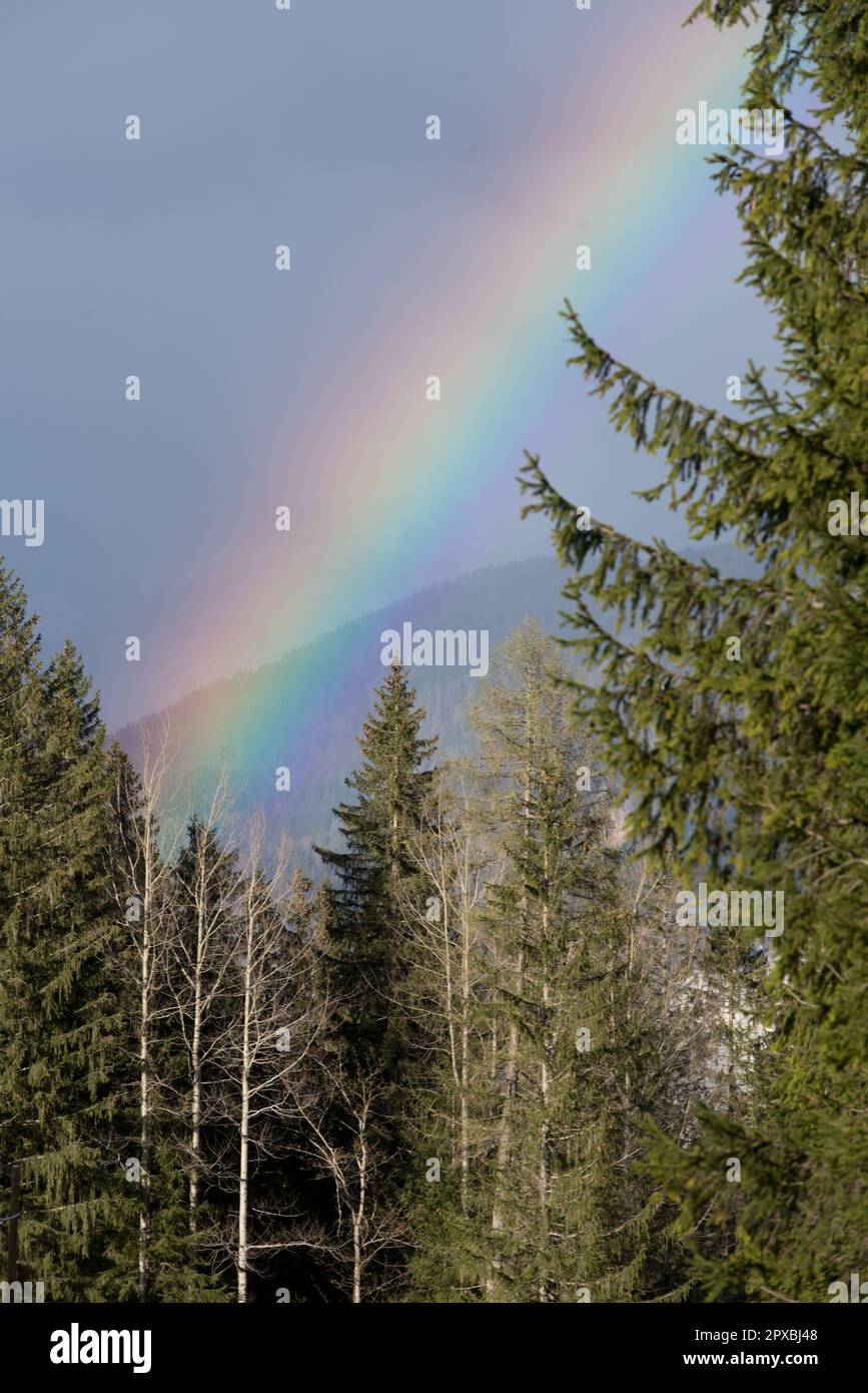 uno splendido arcobaleno in un bosco di montagna, i colori dell'arcobaleno, simbolo. Stock Photo