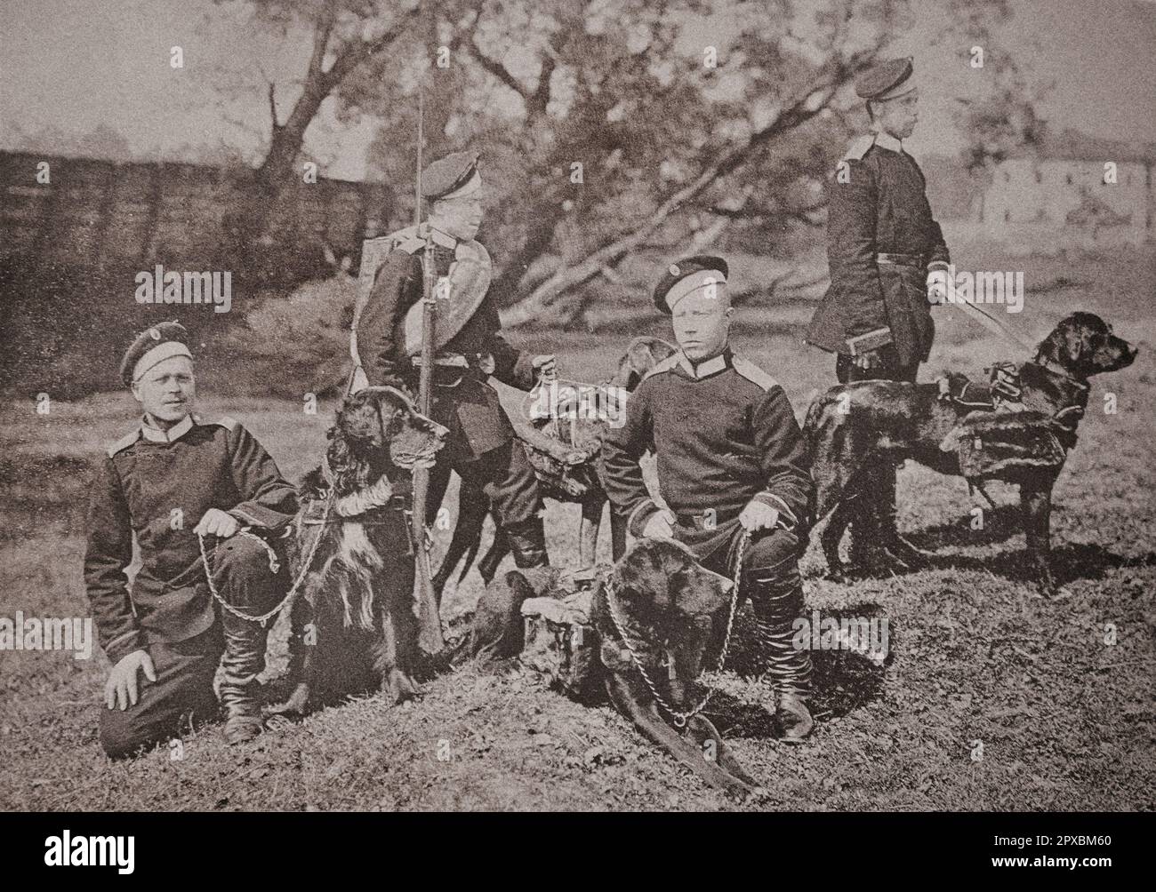 Imperial Russian Army. Krasnoyarsk Infantry regiment, № 95. Military dogs Stock Photo