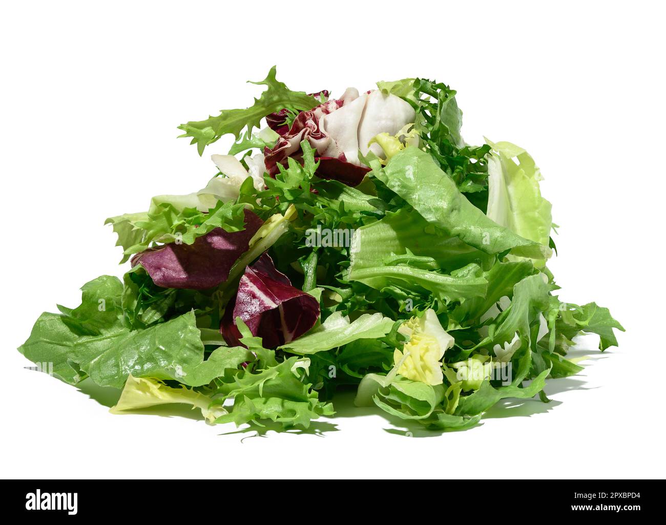 Mix of lettuce leaves escariole, frisee, radicchio, arugula on a white