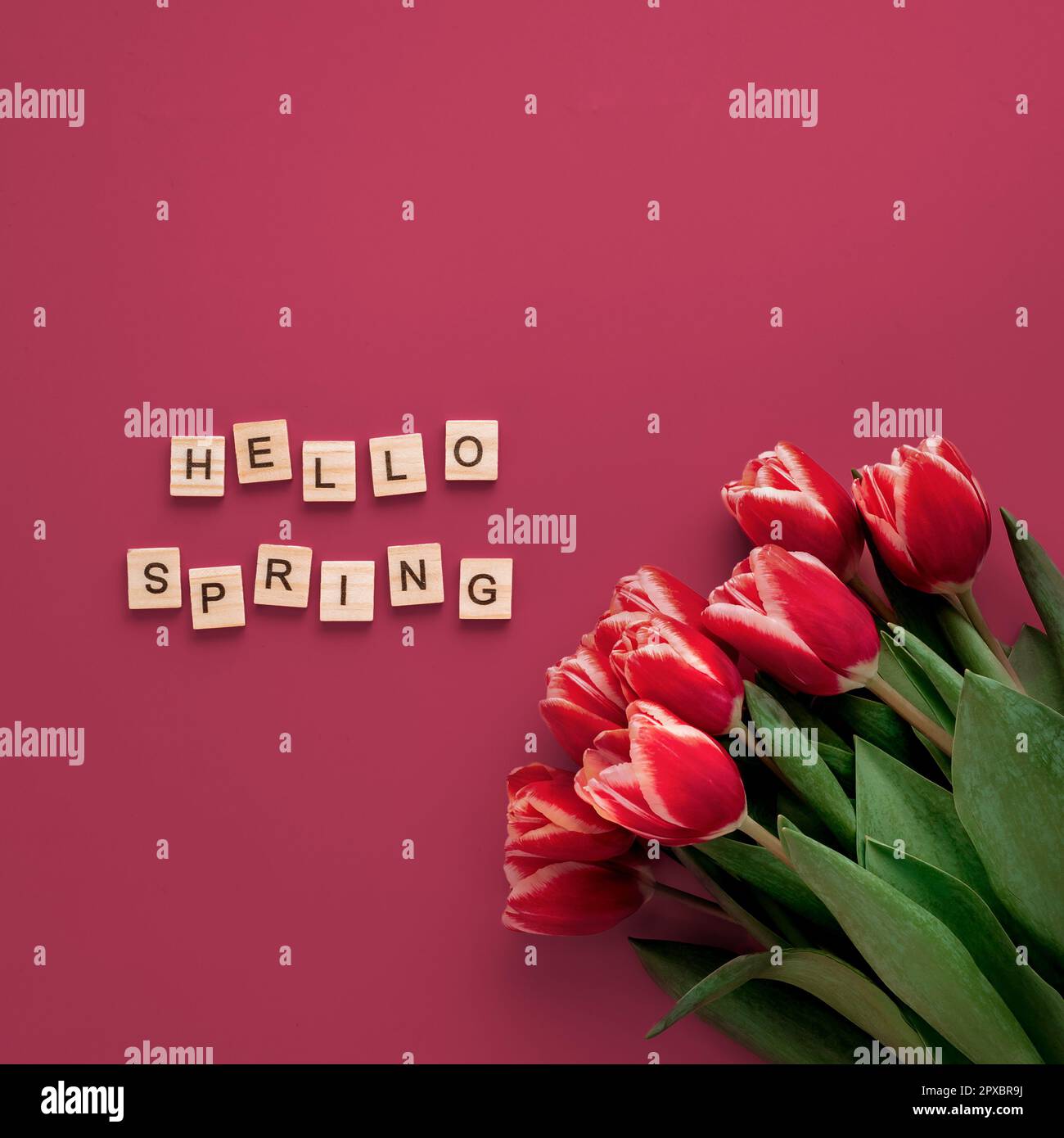 Hello spring concept in Viva Magenta red color. Aesthetic background ...