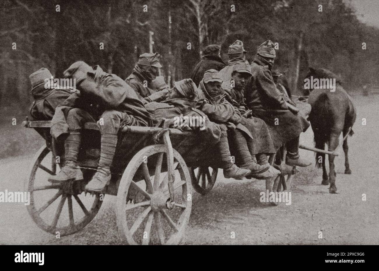 World War I. Russia at war. Wounded Austrian prisoners, driven to ambulances: in the back of the vehicle, only one hides his face. 1916 Stock Photo