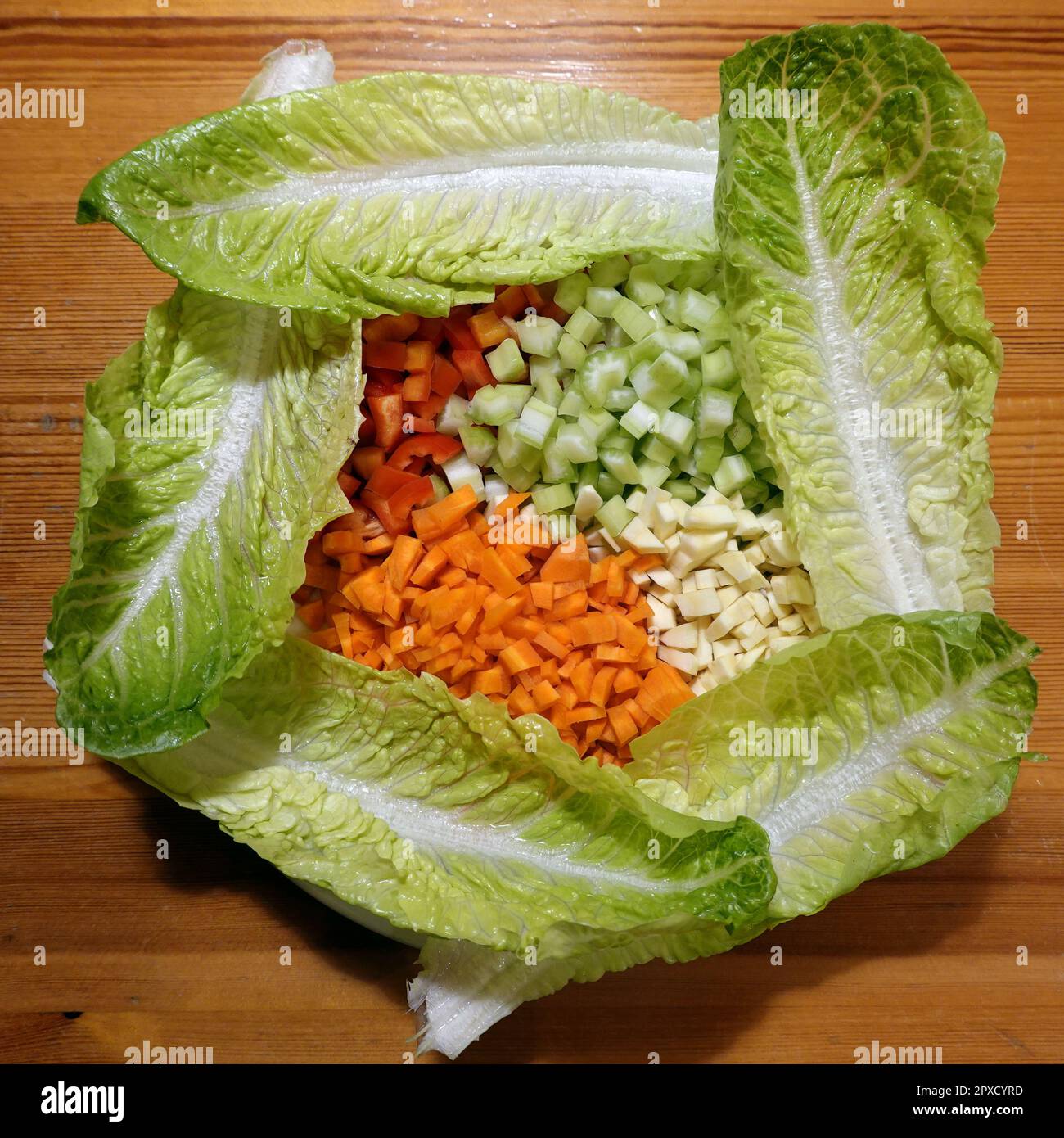 bunter Rohkostsalat mit Möhren,Pastinaken,Paprika und Staudensellerie ...