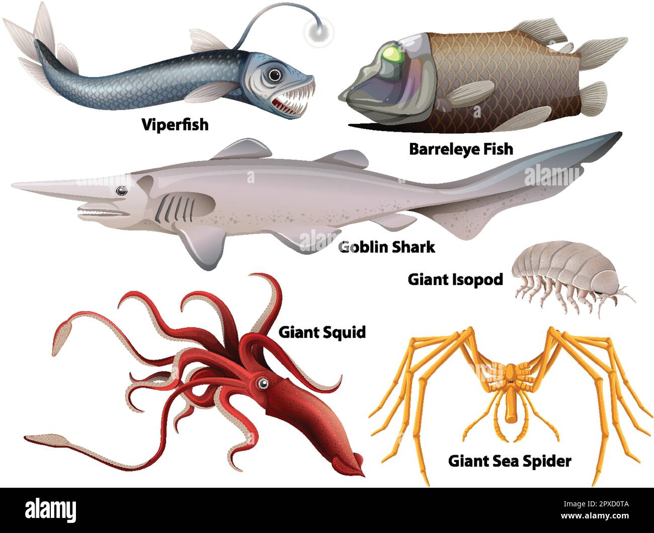 Deep Sea Creatures Collection illustration Stock Vector