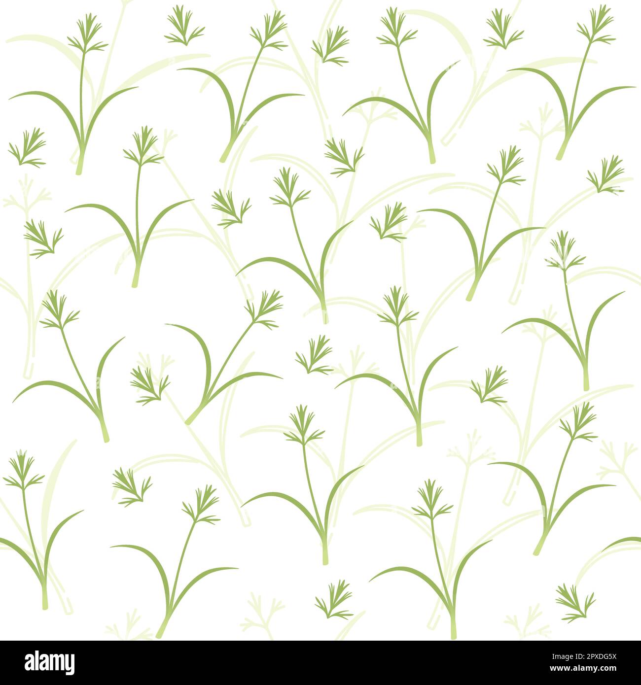Seamless pattern microgreen superfood sprouts carrot healthy nutrition vector illustration on white background Stock Vector