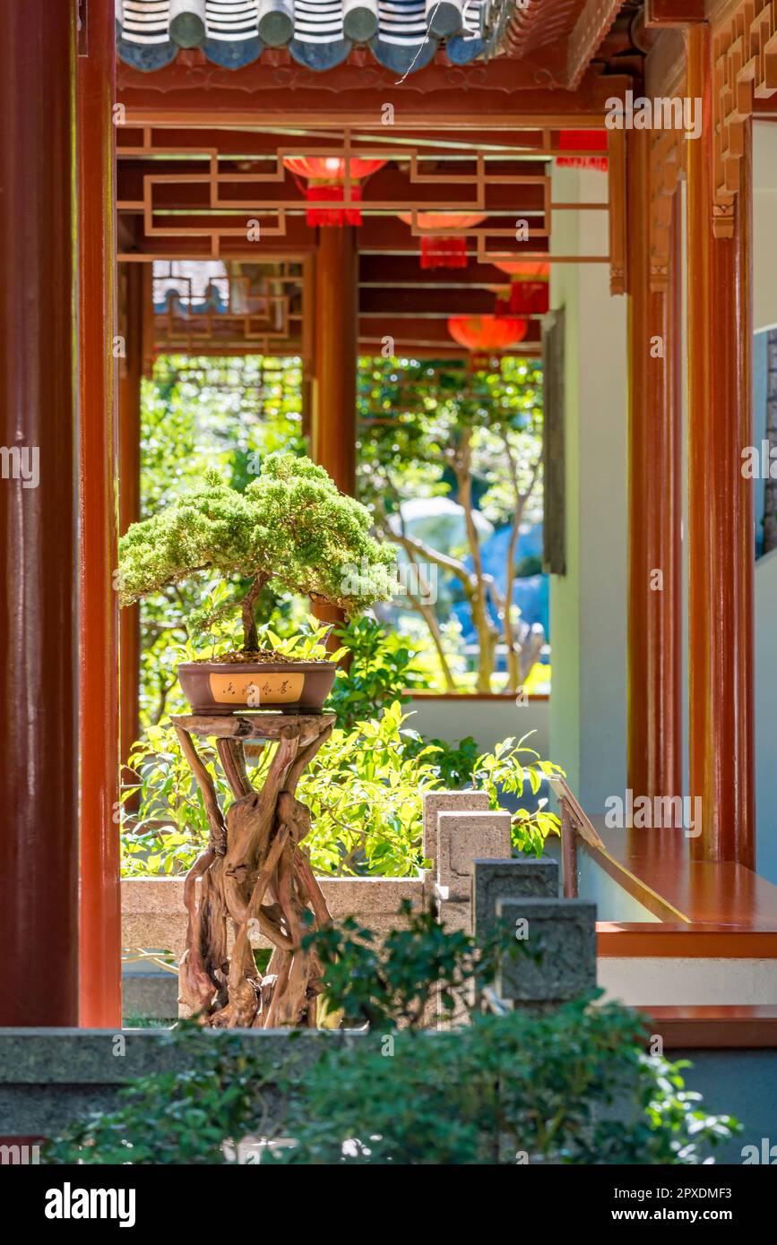 The Chinese Gardens of Friendship in Sydney was opened in 1988 and is a collaboration between sister states of New South Wales and Guangdong of China Stock Photo