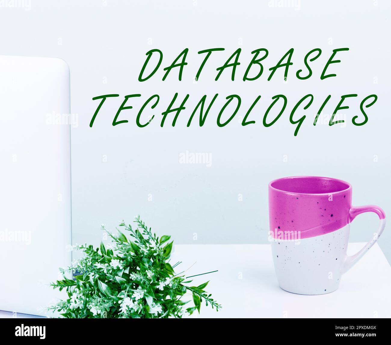 Text showing inspiration Database Technologies, Business overview uses a database application that provides database services Stock Photo