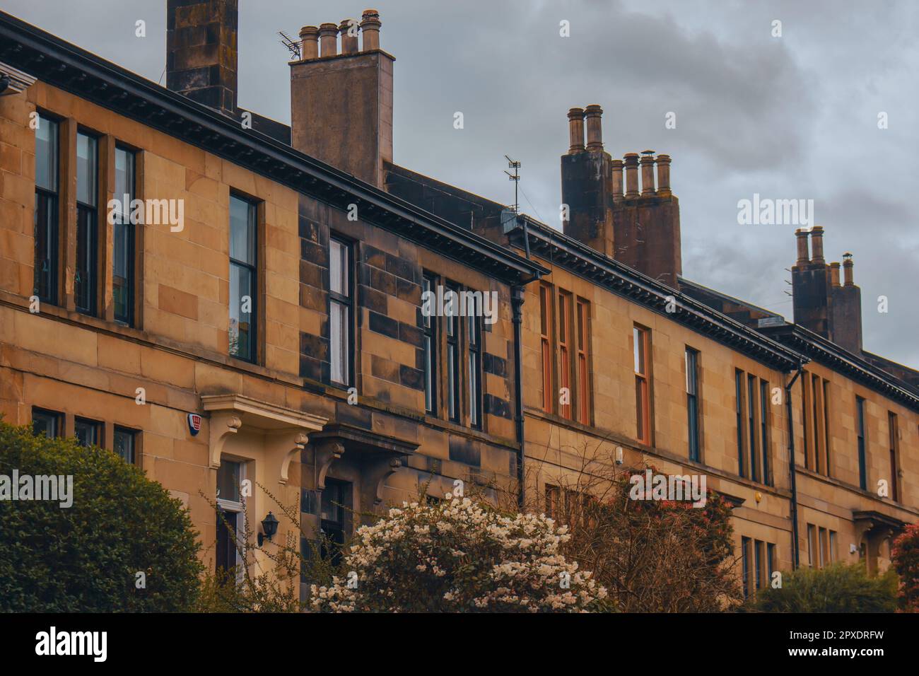Terrace homes in the historic suburb of Dennistoun, Glasgow Stock Photo
