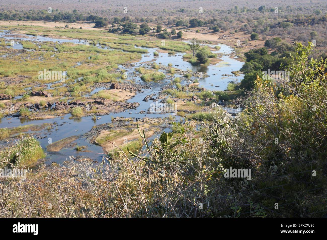 Krüger Park Afrikanischer Busch Olifants River / Kruger Park