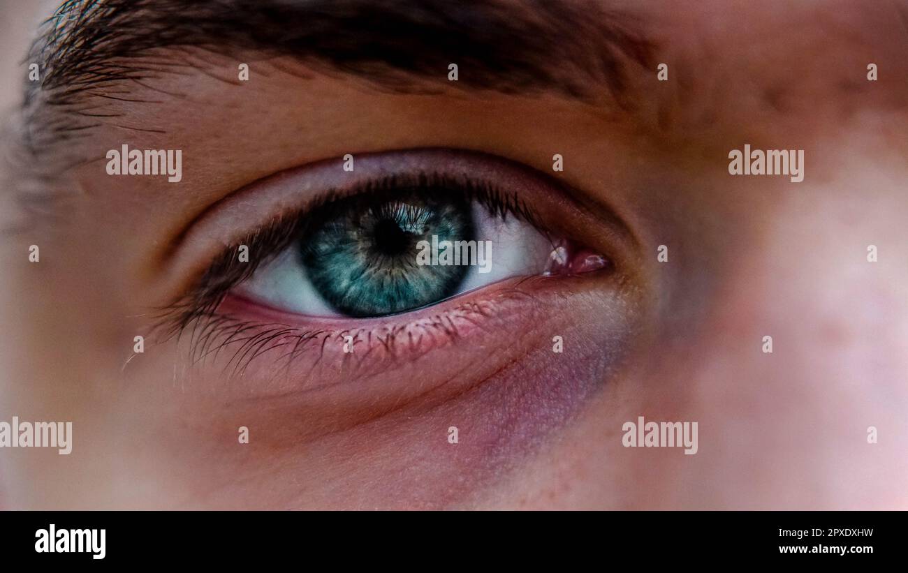 Beautiful crystal blue eye staring at the camera Stock Photo Alamy