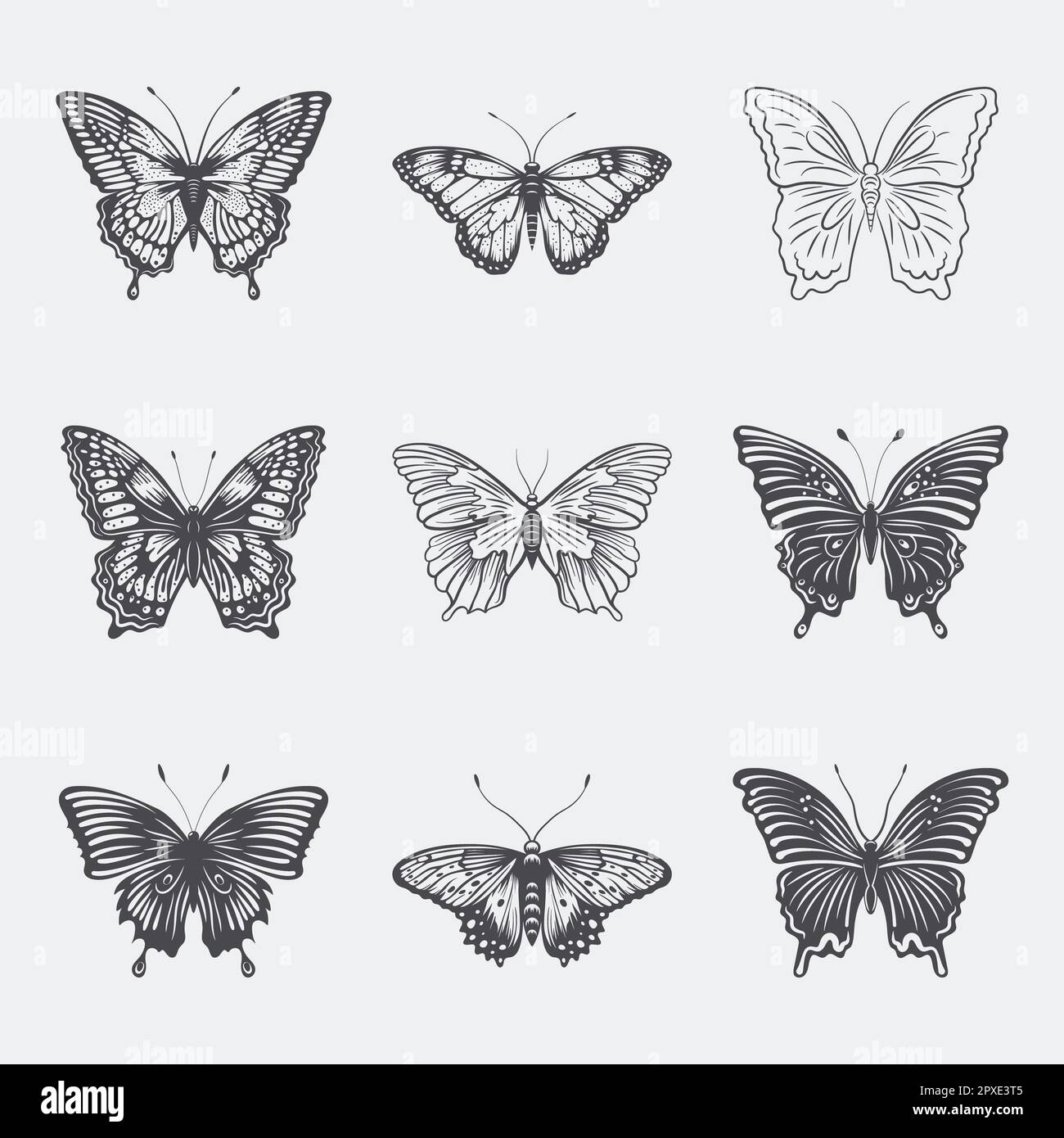 Vector Monochrome Black and White Hand Drawn Butterfly Icon Set ...